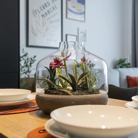 Premium 1br Old Town With Ac Close To Michalska Gate * Bratislava